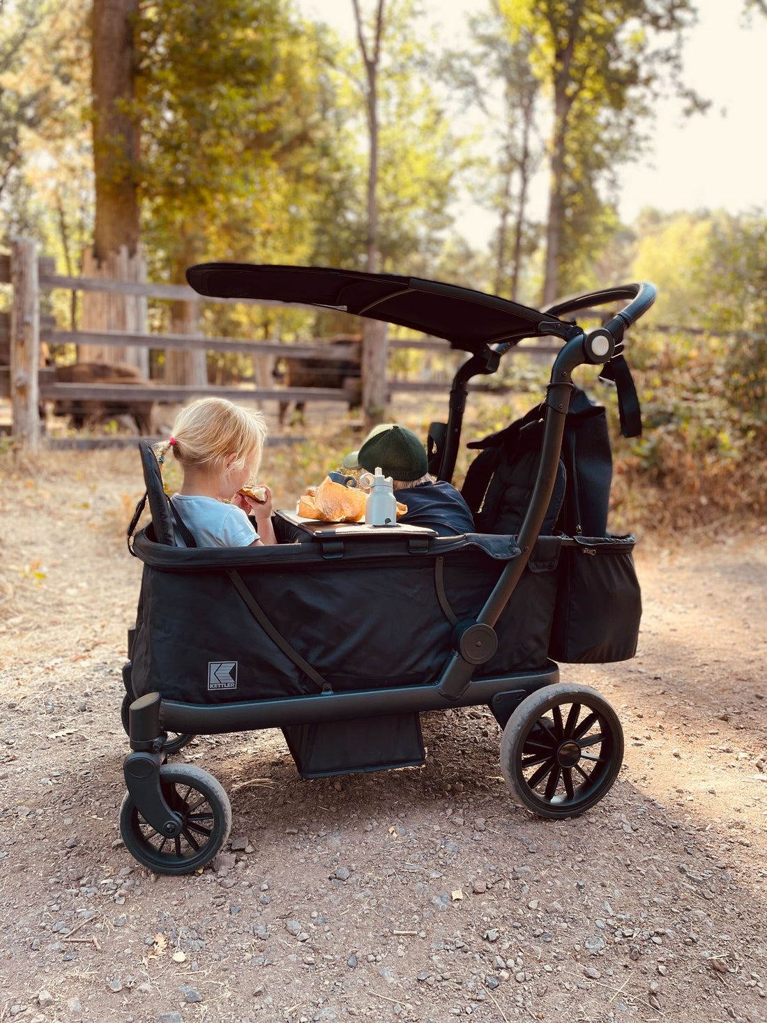 Bollerwagen oder Kinderwagen: was ist die bessere Wahl?