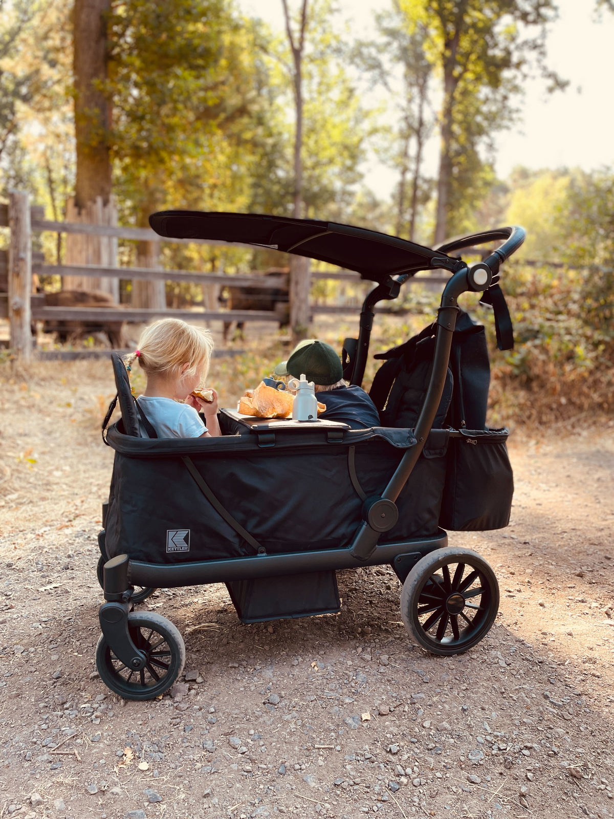 Bollerwagen oder Kinderwagen: was ist die bessere Wahl?